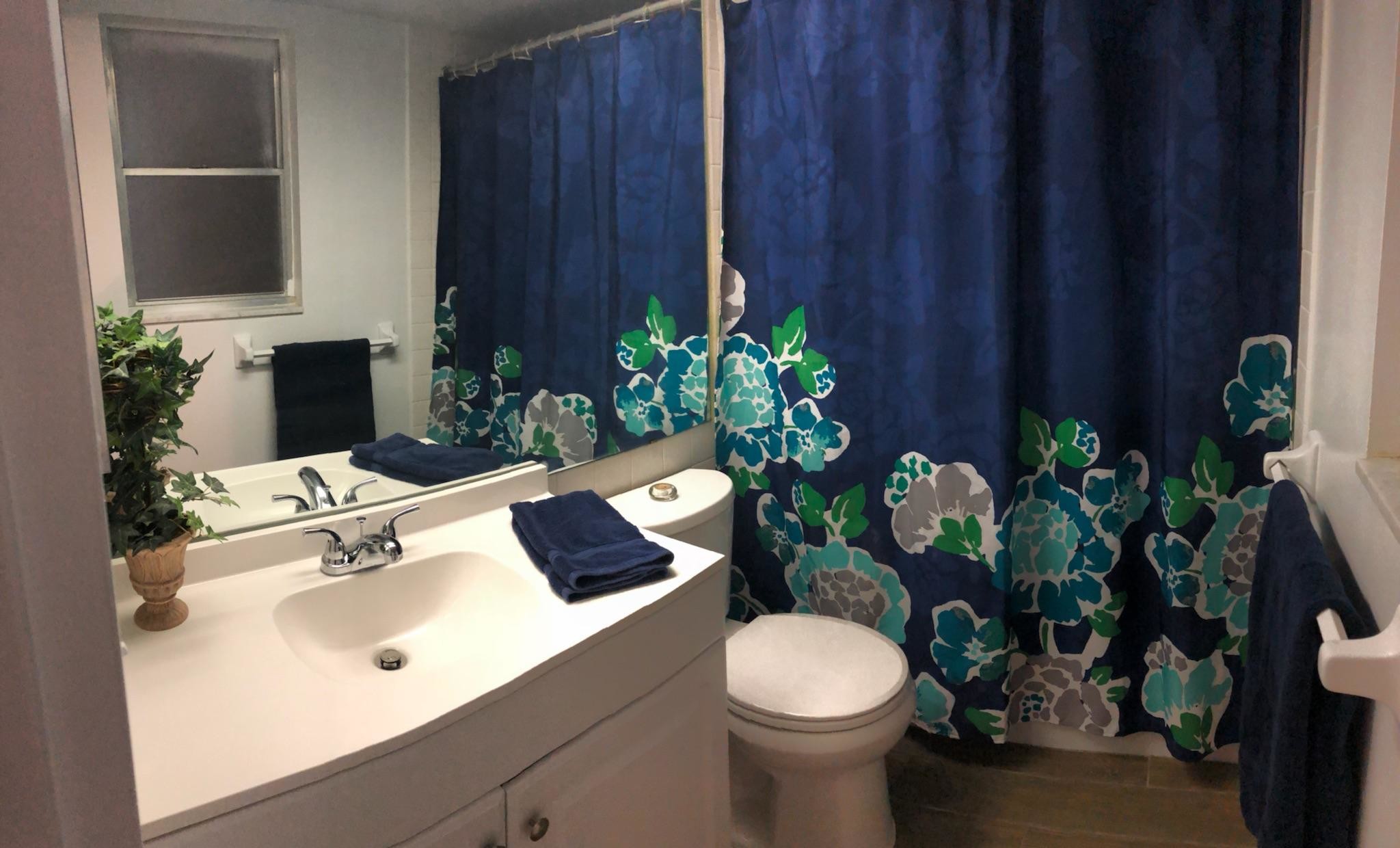 Master Bath - 1051 79th Ave N