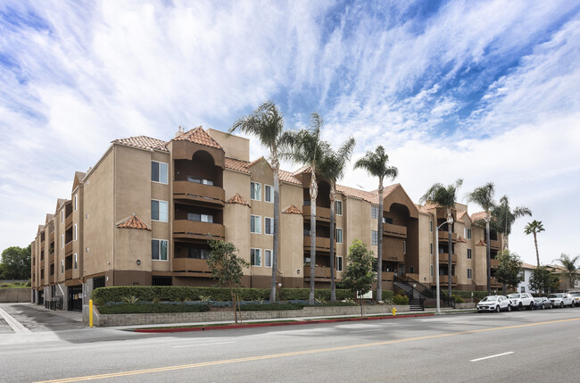 Primary Photo - Encino Palms