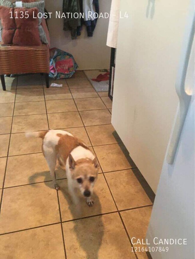 Building Photo - 1135 Lost Nation Rd