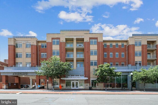 Building Photo - 309 Holland Ln