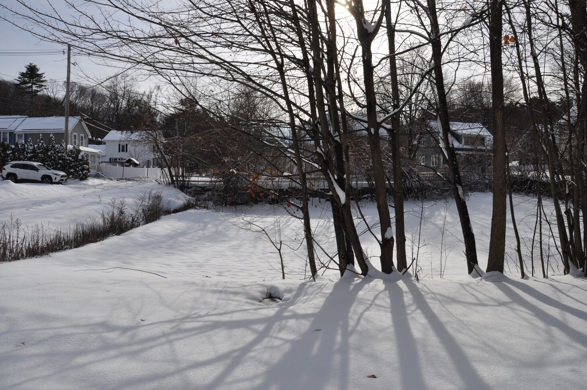 Building Photo - 703 Blossom St