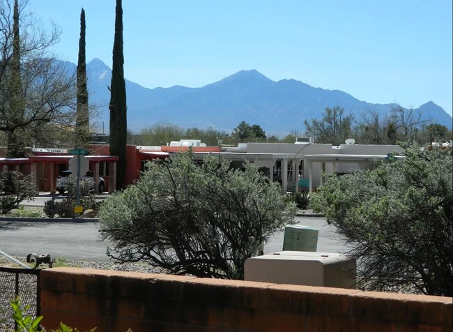 View from backyard - 160 N Paseo De Los Conquistadores