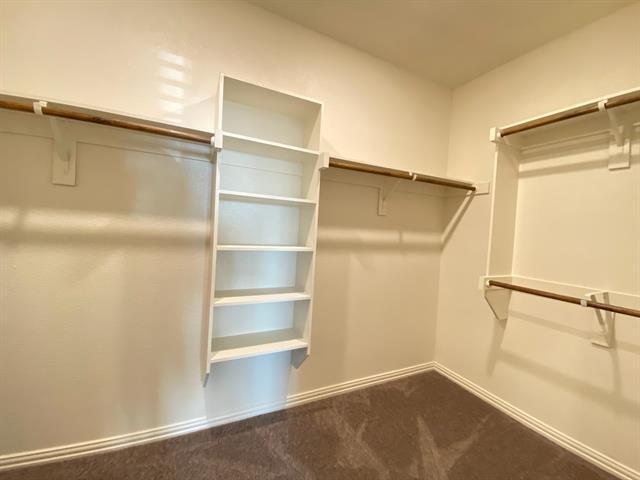 Building Photo - 3404 Solana Cir
