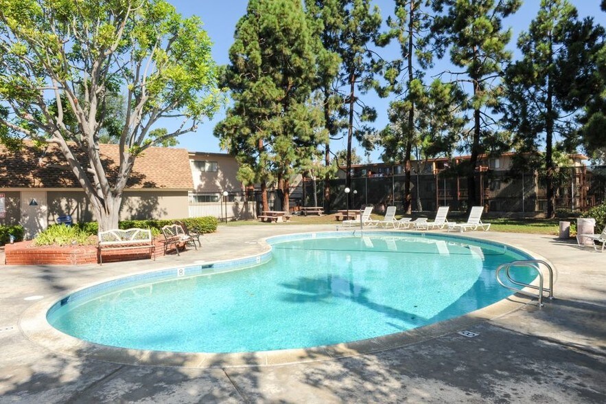 Sparkling Pool #1 - 3881 Groton St