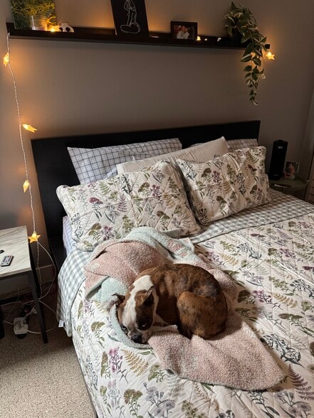 Bedroom 1 - 3131 N Central Park Ave