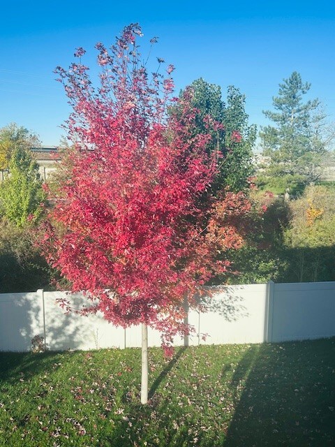 Building Photo - 1302 Sunrise Ln