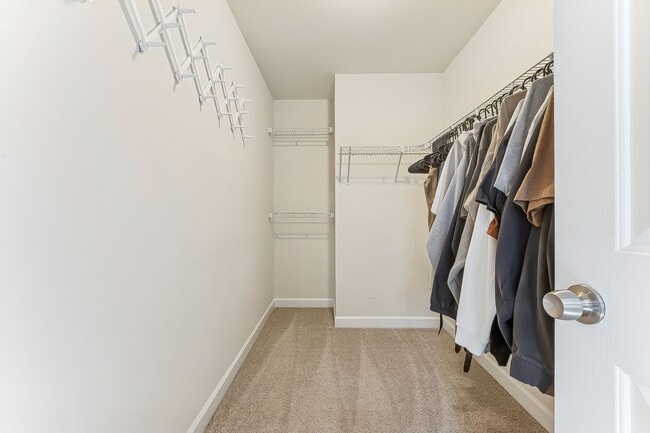 Building Photo - Stunning home in Norfolk!