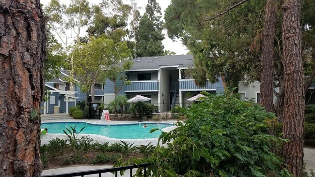 Building Photo - Walk to Dana Point Harbor!