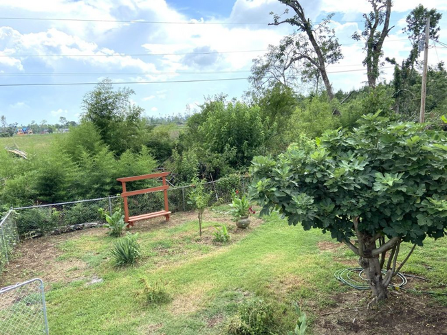 Building Photo - 7918 Holly Hills Dr
