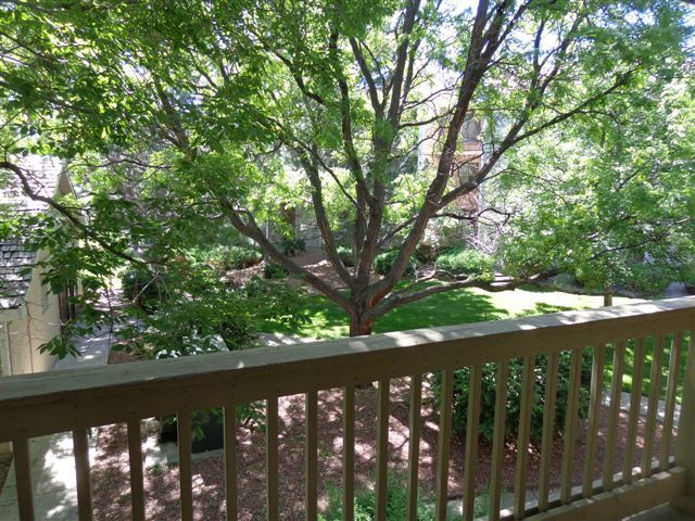 Building Photo - Spacious 1 bed Great location off Sable an...