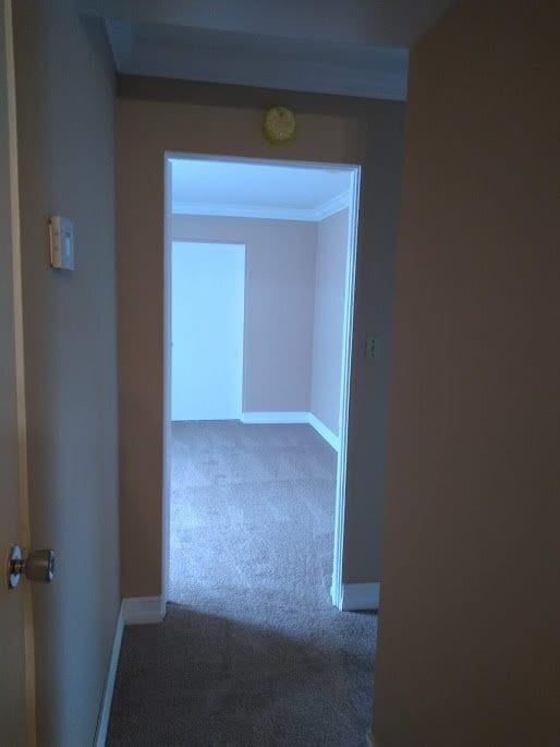 Building Photo - Green Tee - # 110