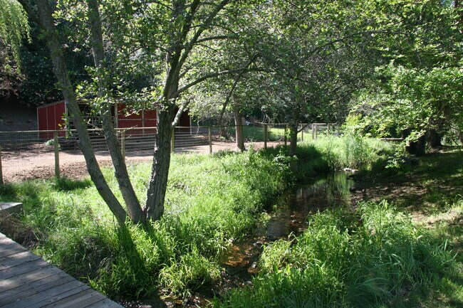 Building Photo - Equestrian Property & Country Living in the Heart of Folsom