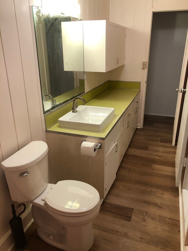 large bath with lots of storage - 2212 Wilder Ave