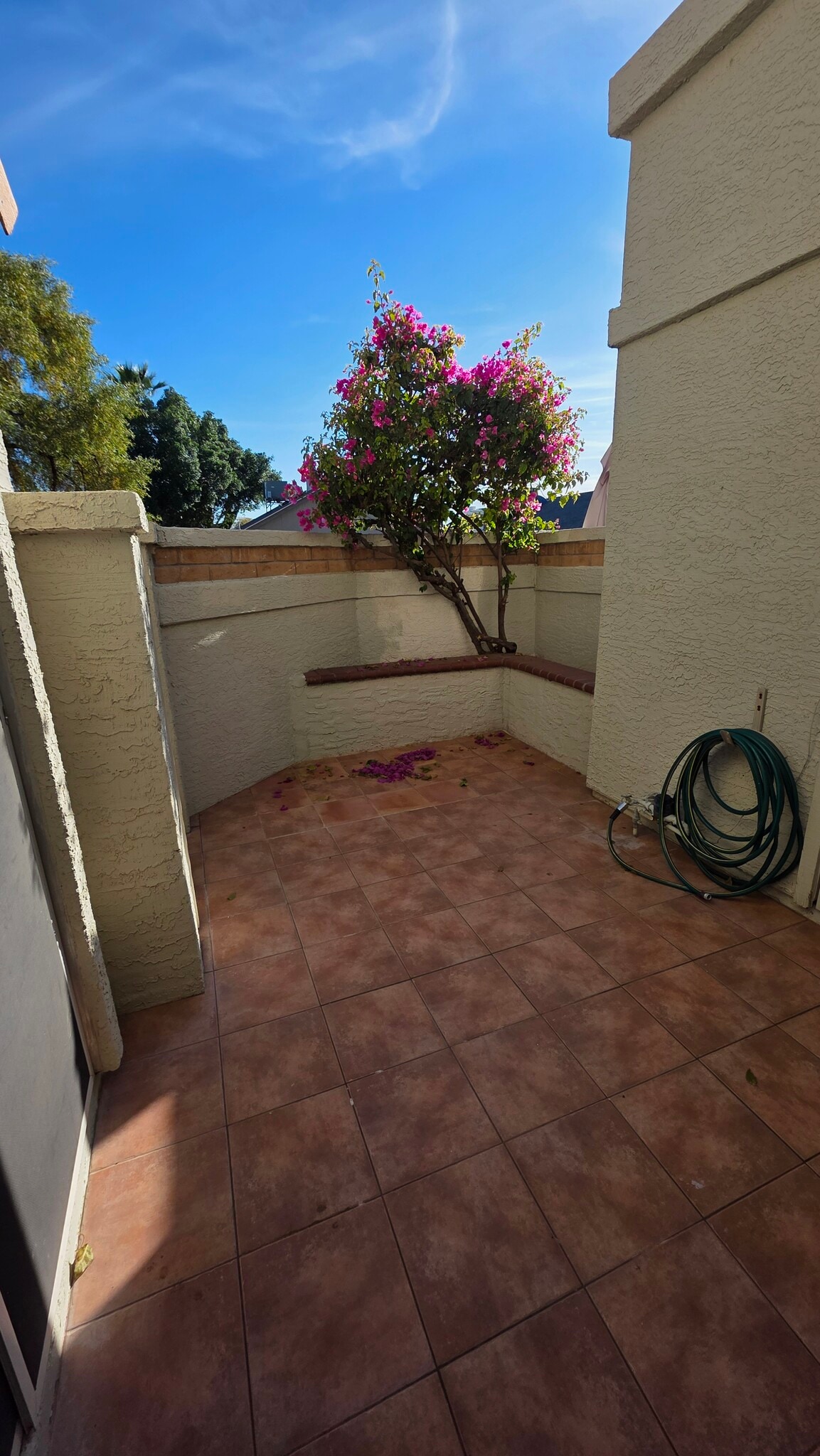 Patio - 1717 E Union Hills Dr