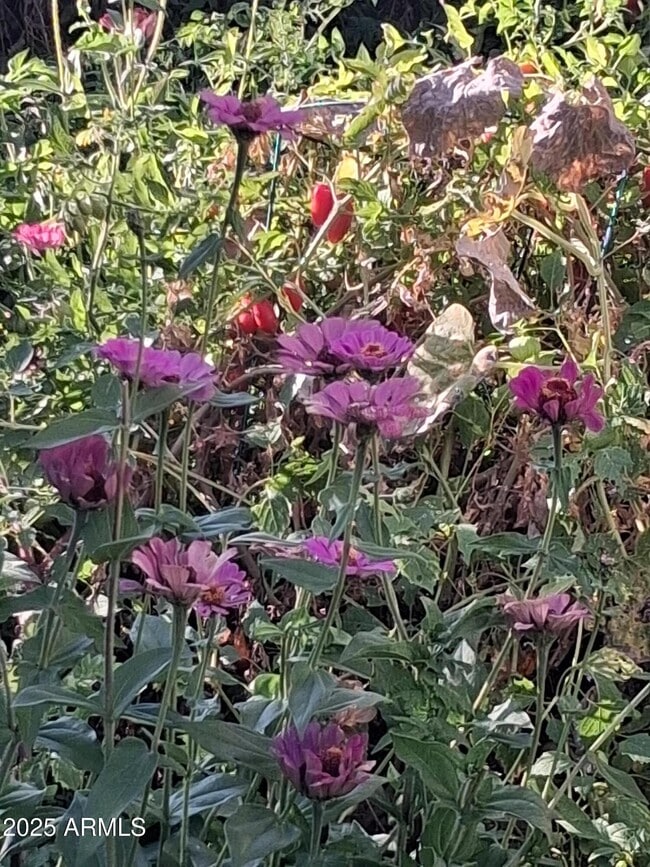 Building Photo - 4020 E Creek View Dr