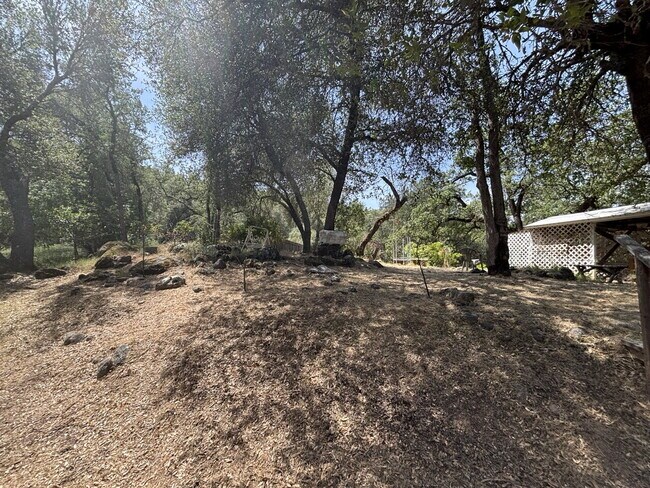 Building Photo - A gardener's delight! 3-bedroom home nestled in the countryside but close to town.