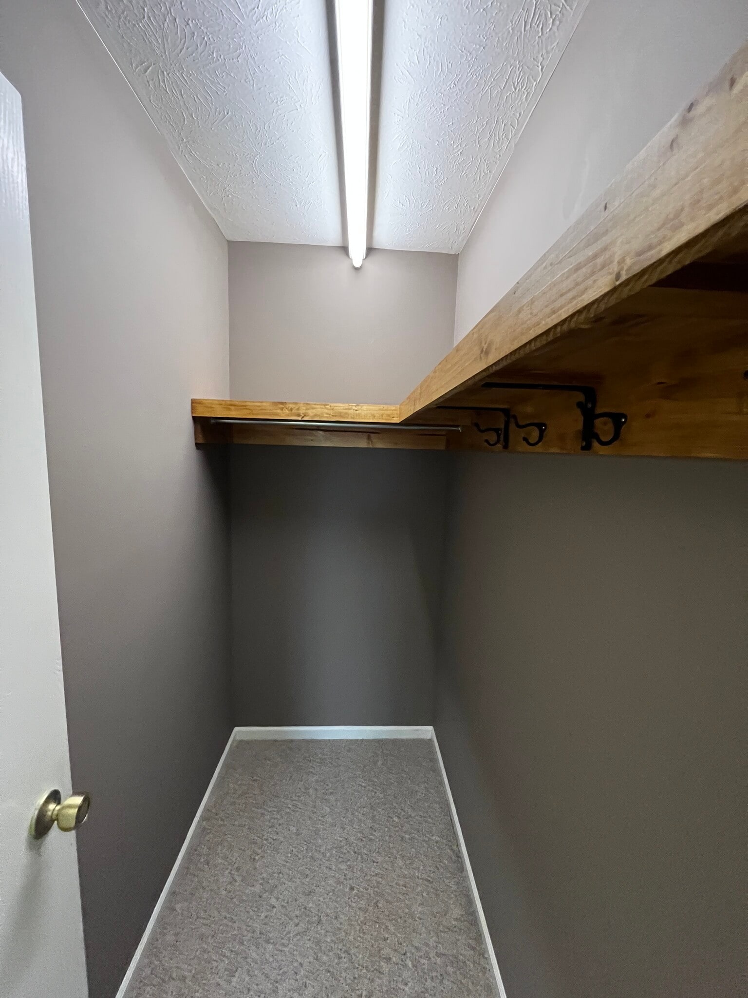 Building Photo - 1733 Fortino Ct