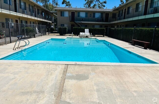 Hampton Park Pool - Hampton Park Apartments