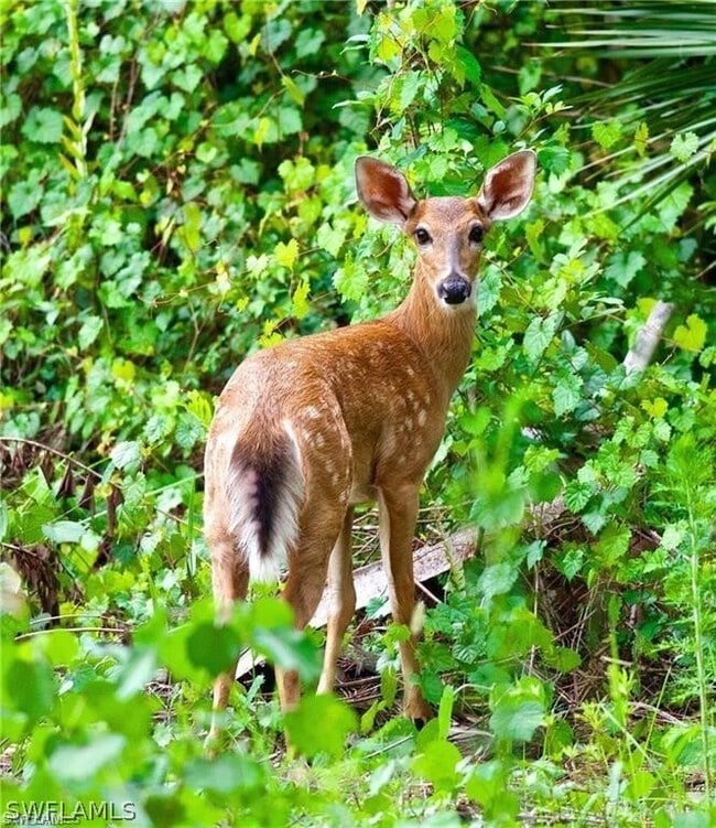 Building Photo - 3650 1st Ave SW