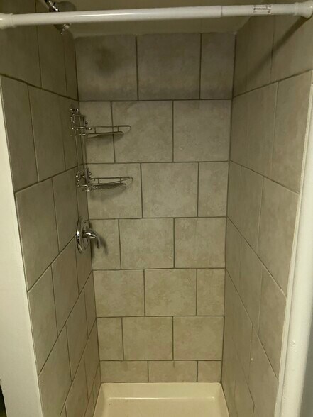 Basement Shower - 3703 W Saratoga St