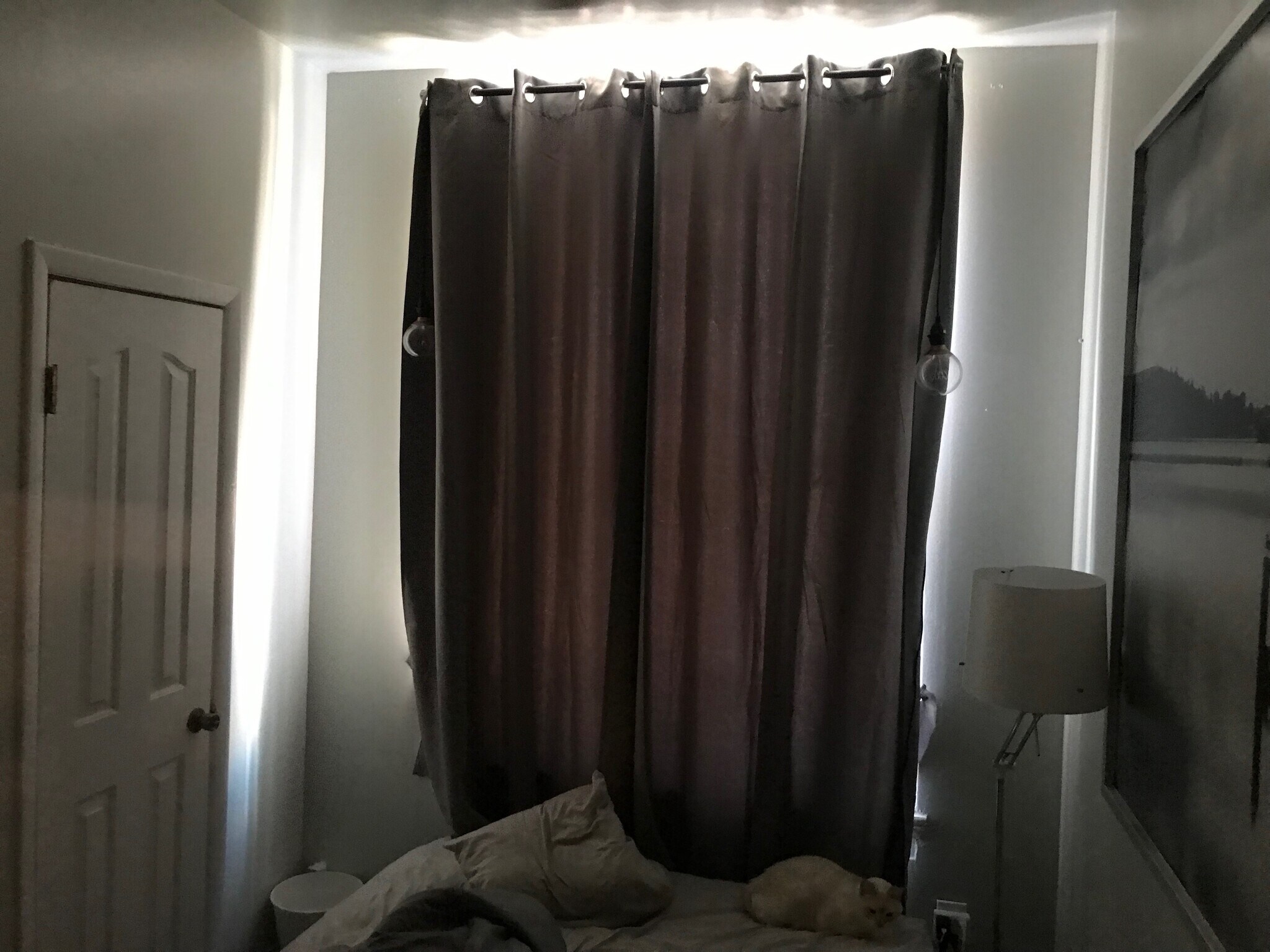 Building Photo - 1013 St Paul St