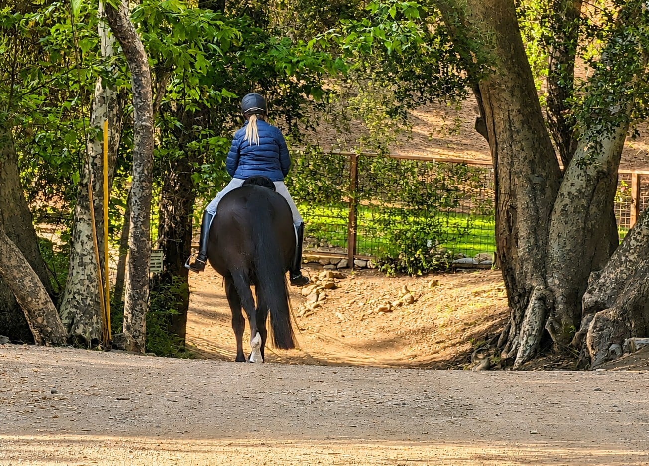 Two houses to trail system - 25648 Timpangos Dr