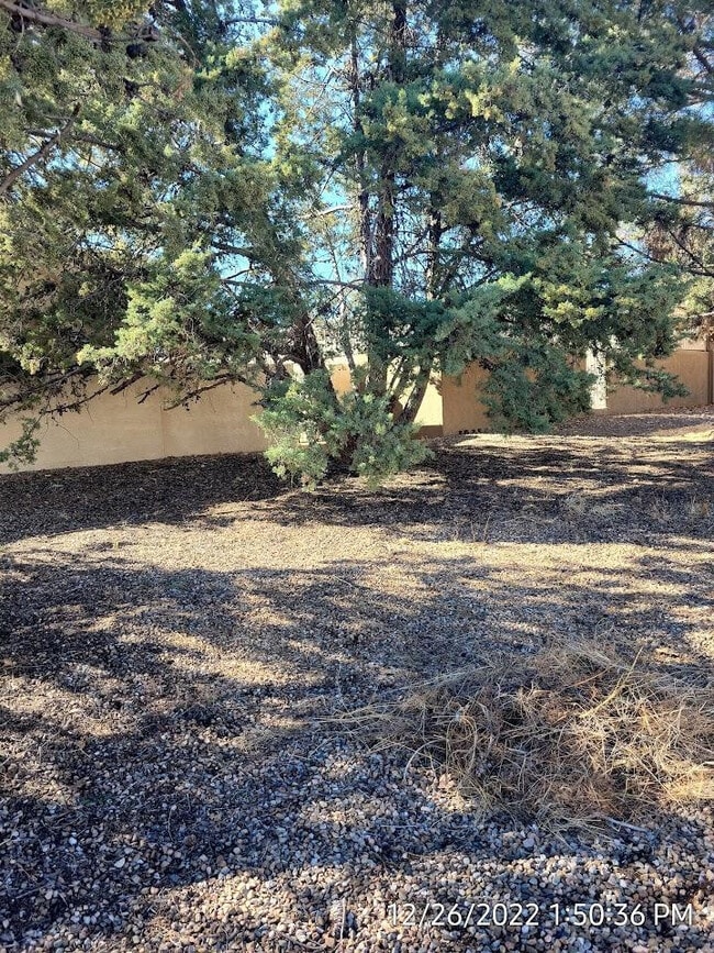 Building Photo - 4440 Buena Loma Way