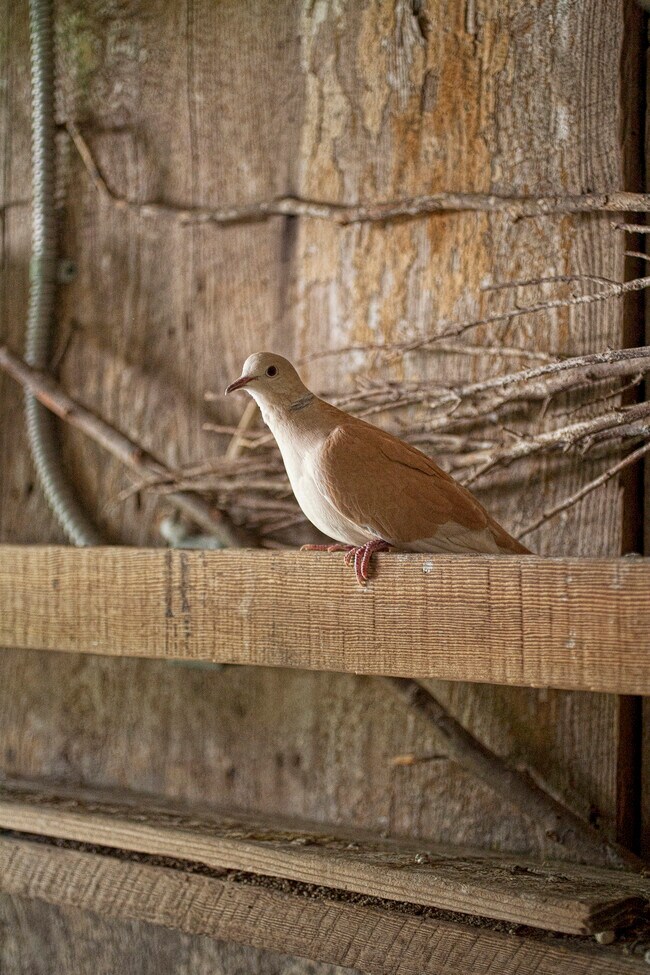 Building Photo - 430 Pratt Ave