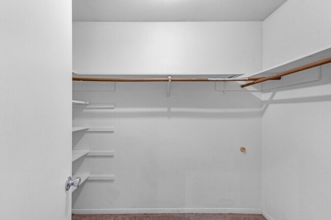 Building Photo - 19403 Bristlestar Dr