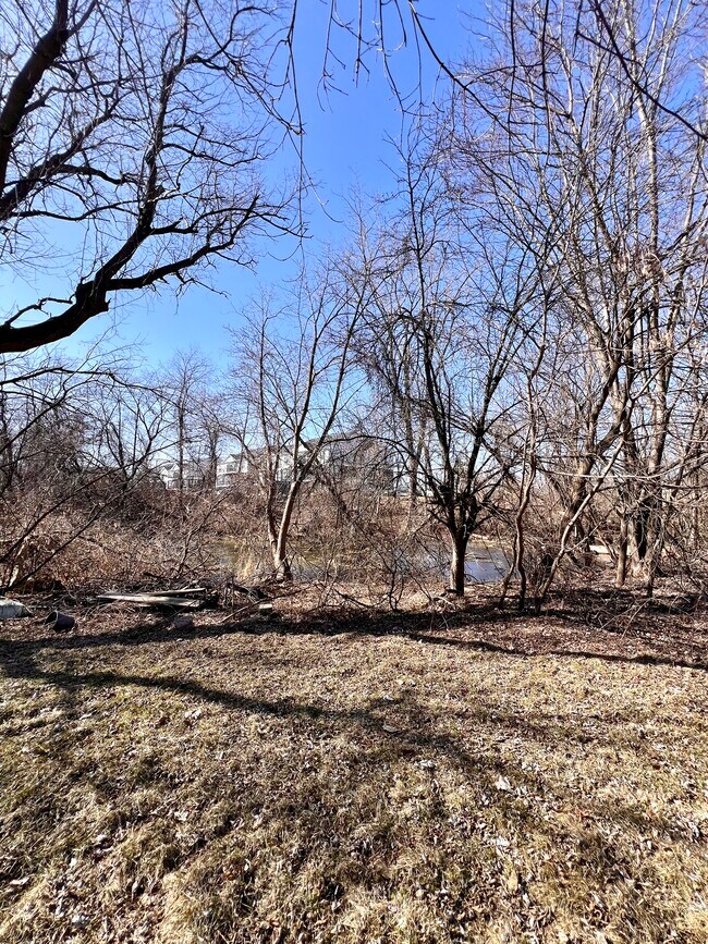 Backyard - 1867 Payson Rd