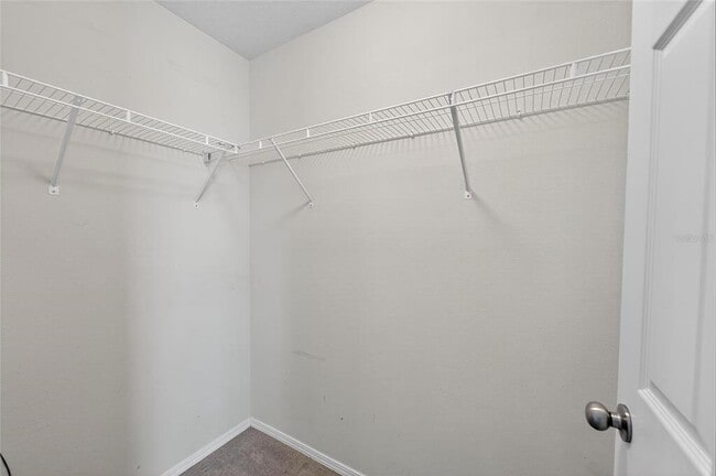 Building Photo - 4736 White Sanderling Ct
