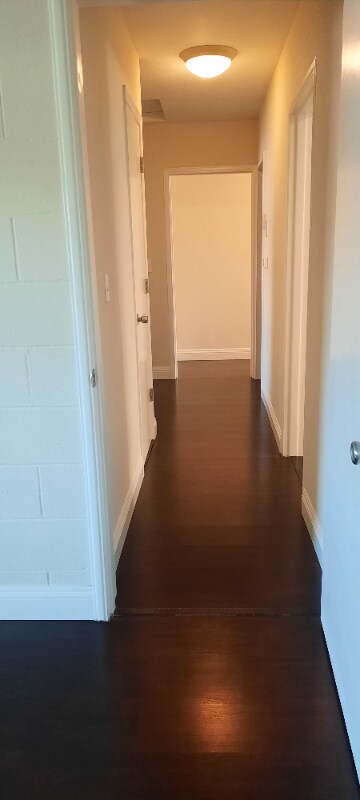 Building Photo - 4924 Cabrillo Way