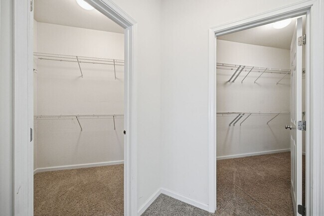 Building Photo - 24267 Purple Finch Dr