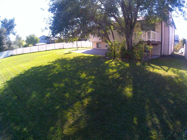 Building Photo - 4 Bedroom 2 Bath  Home 2 Car Garage. Dog F...