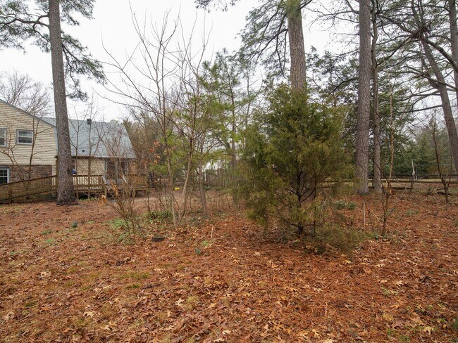 Building Photo - 4-Bedroom Home in Midlothian