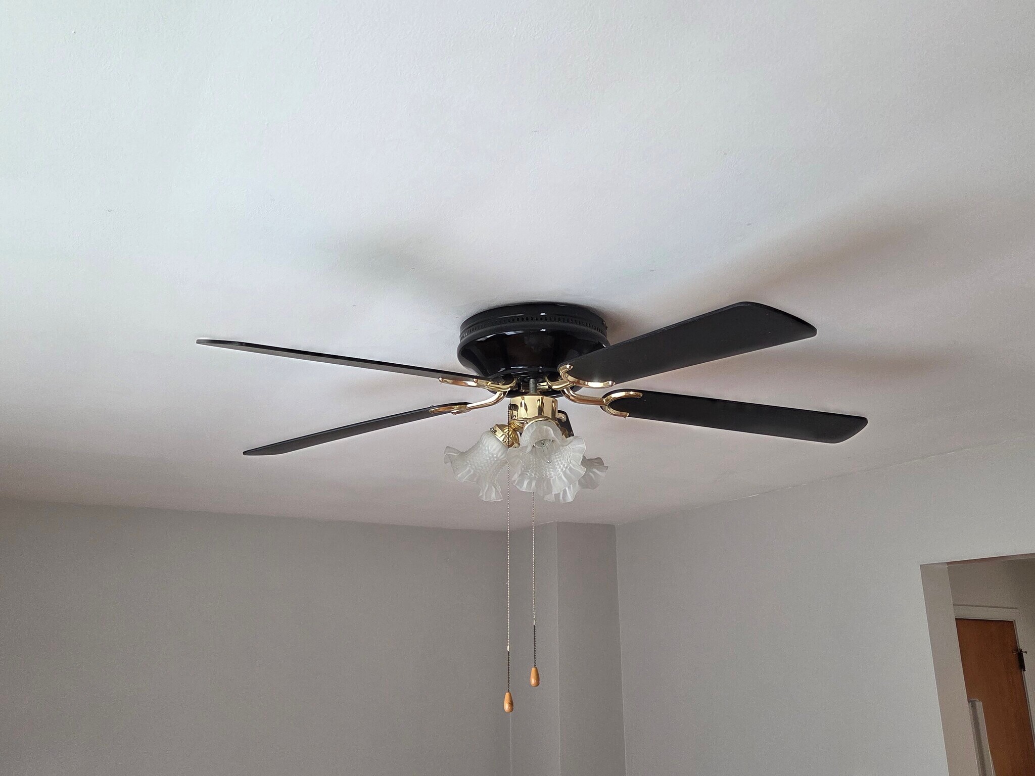 Living room ceiling fan - 420 Muth Rd