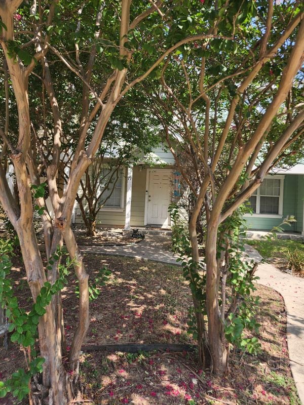 Building Photo - 19 Autumn Pass