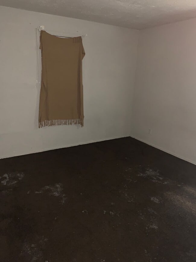 Building Photo - 1447 Alma St