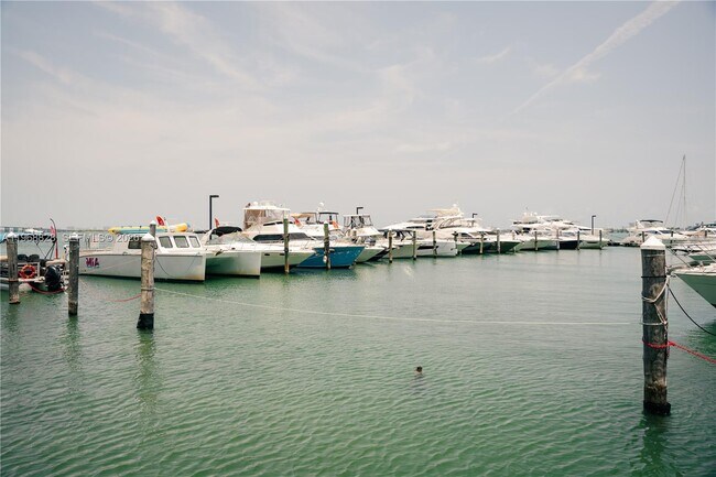 Building Photo - 1717 N Bayshore Dr