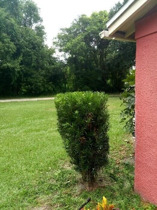 Building Photo - 509 E Magnolia St