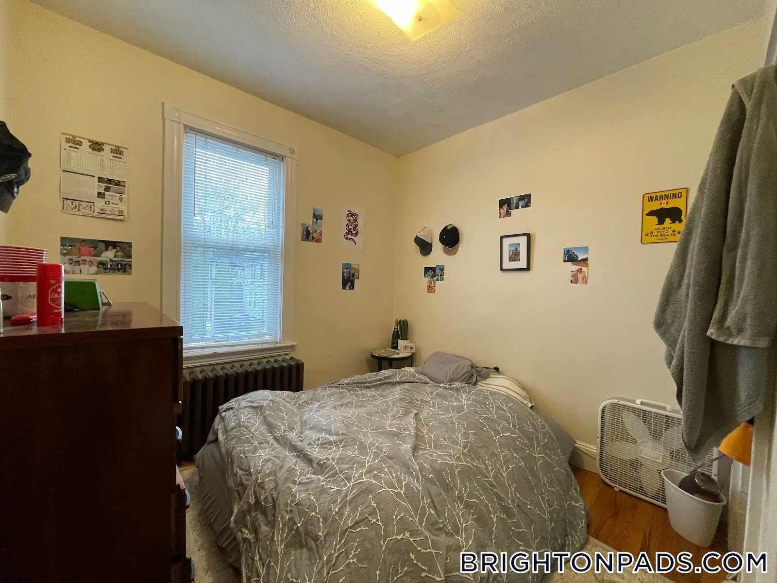 Building Photo - 65 Fairbanks St