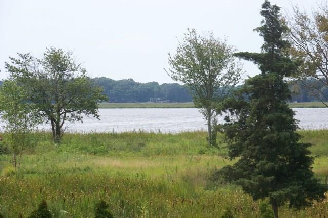 Building Photo - 509 Main St