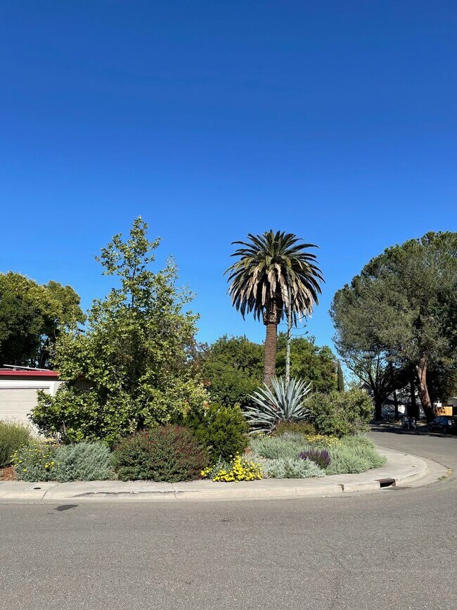 Building Photo - WELL MAINTAINED SINGLE STORY HOME WITH SOL...