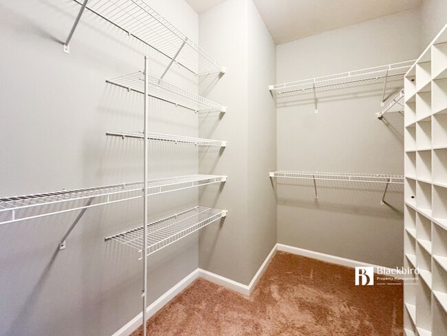 Building Photo - 13719 Port Commerce Ct