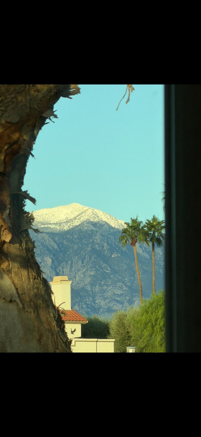 Building Photo - 269 Vista Royale Cir W