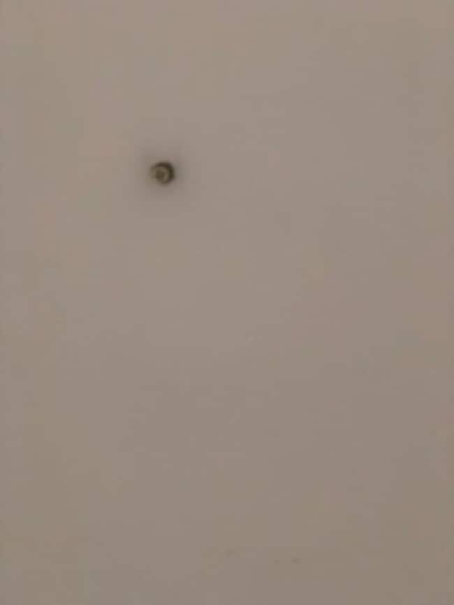 Building Photo - East Village 13th floor condo with panoramic views