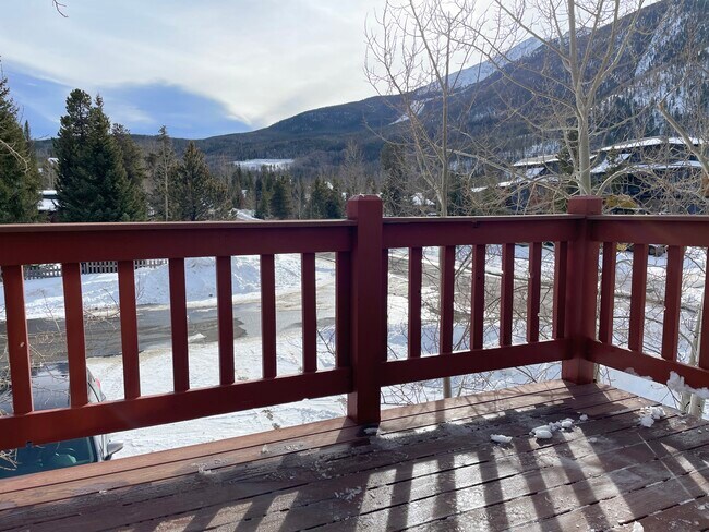 Deck off kitchen - south facing - 501 Teller St