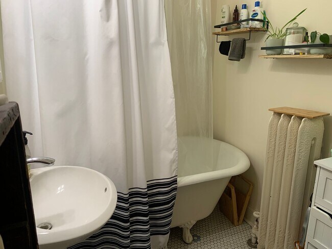 Building Photo - Sun-drenched Roscoe Village