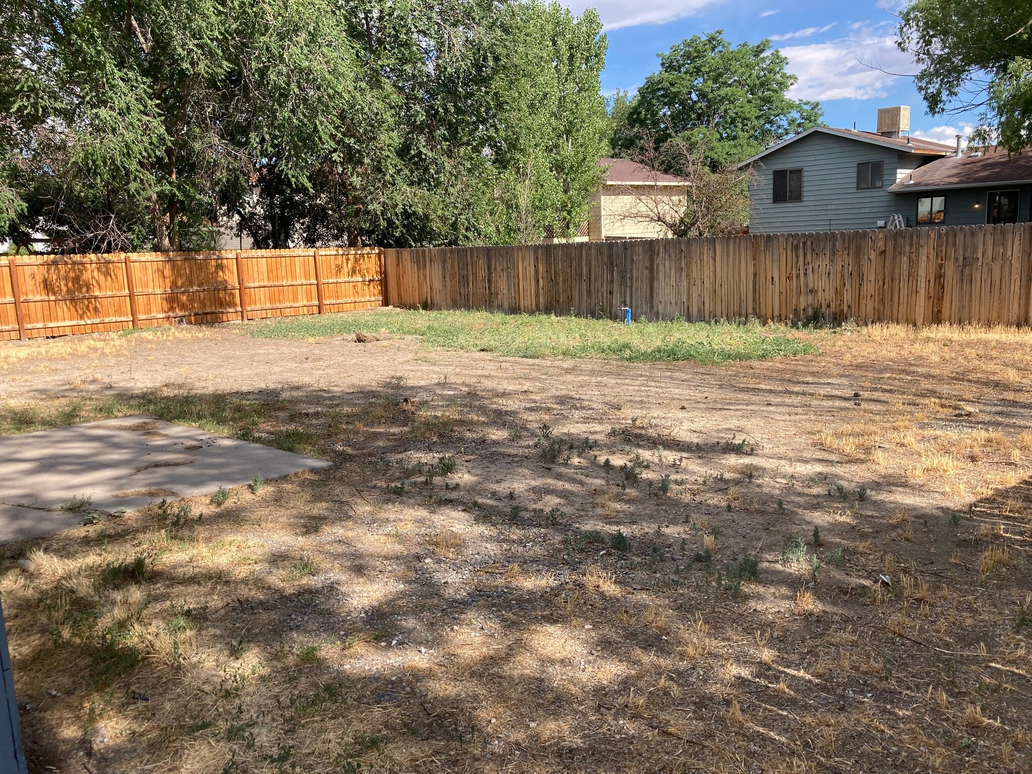 Backyard - 2991 Walnut Ave