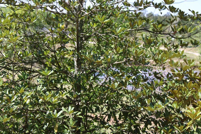 Building Photo - 818 W Grantville Rd